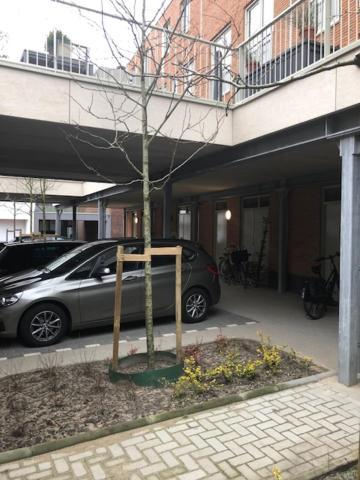 Benb Op De Trans, Arnhem Op Zijn Best! Zewnętrze zdjęcie